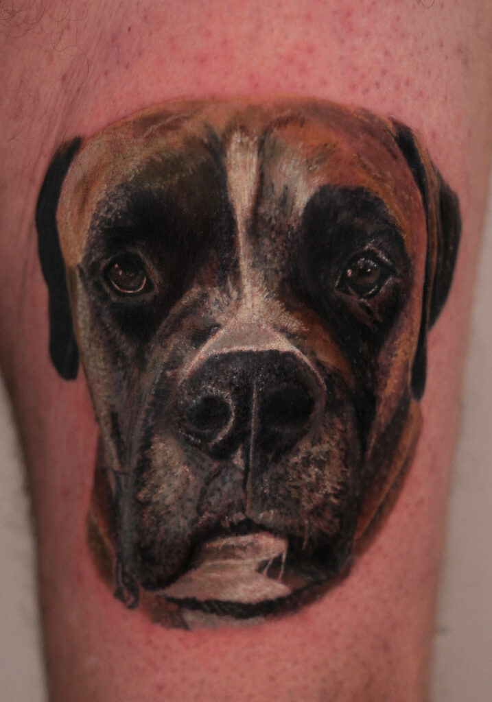 Colour realism dog portrait tattoo