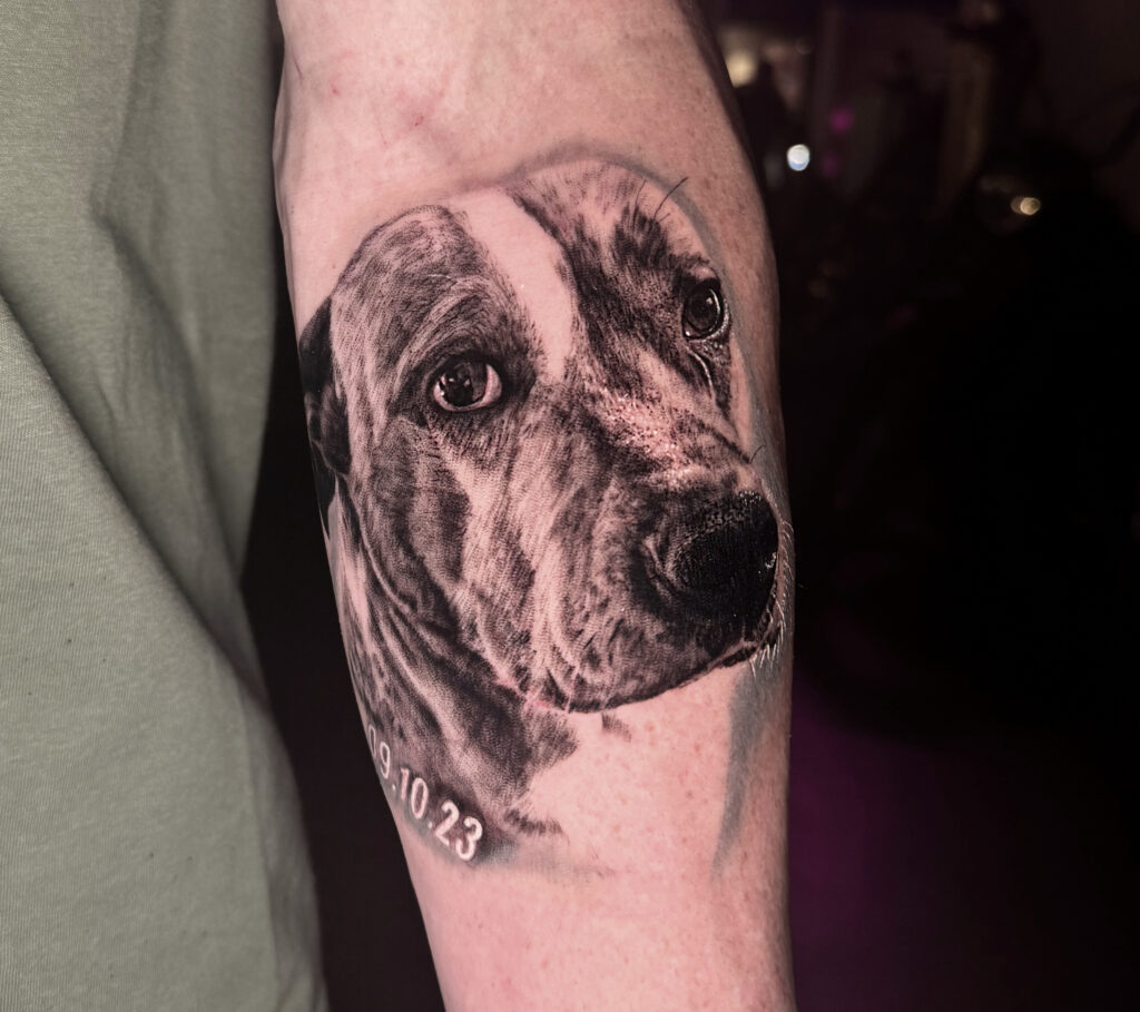 Black and grey dog portrait tattoo on forearm