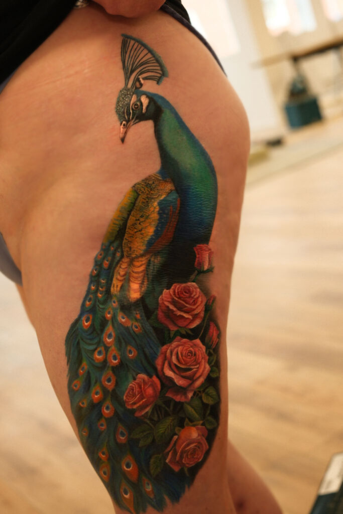 Colour realism peacock tattoo with roses on thigh