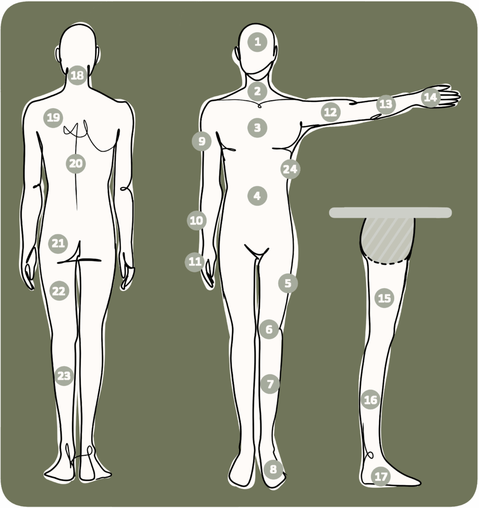 Numbered body parts